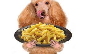 Can Dogs Eat French Fries?