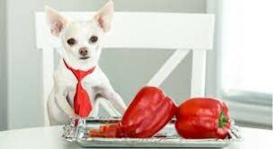 Can Dogs Eat Pepper?
